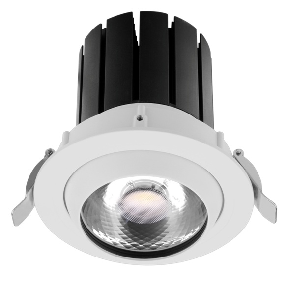 LED Downlight G013-35W