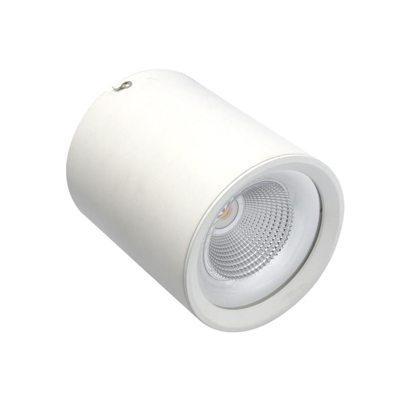 SurfaceMount LED Downlight 10W20W30W